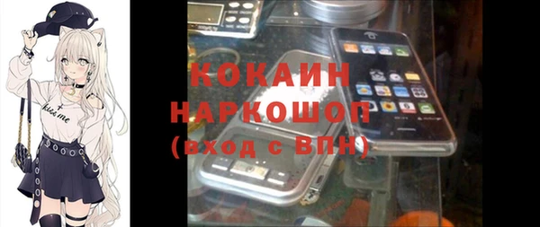 хмурый Алзамай