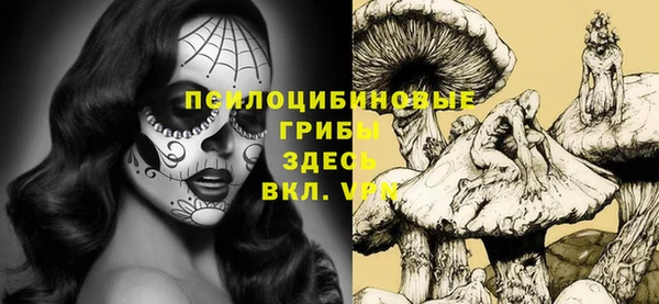 Альфа ПВП Алексин