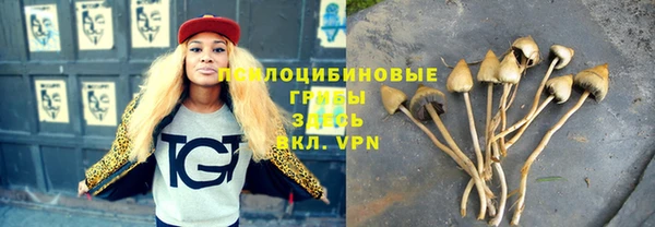 Альфа ПВП Алексин