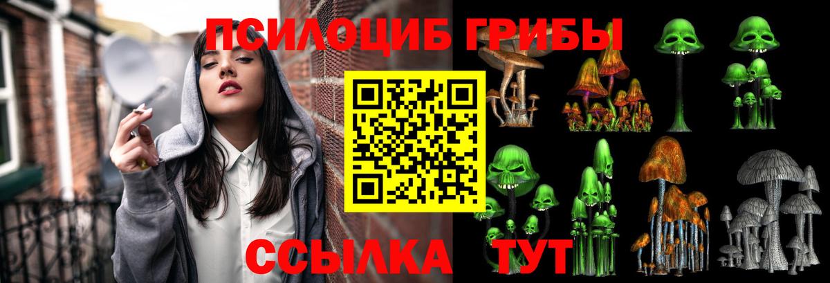 Анжеро-Судженск  Псилоцибиновые грибы Psilocybine cubensis  Вход с VPN 