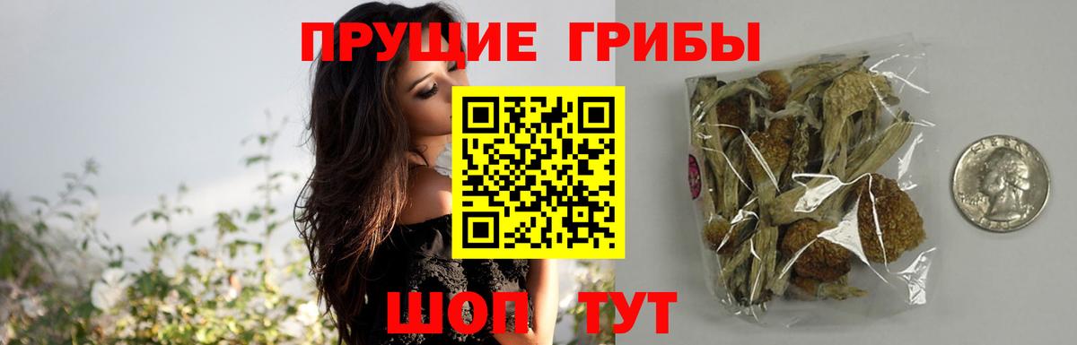Галлюциногенные грибы MAGIC MUSHROOMS Анжеро-Судженск